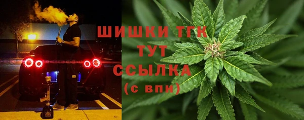 дживик Беломорск