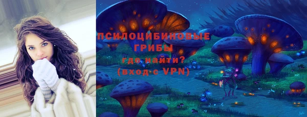 дживик Беломорск