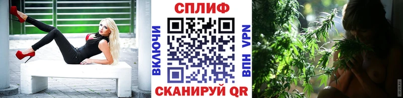 Шишки марихуана семена Купить где Валуйки